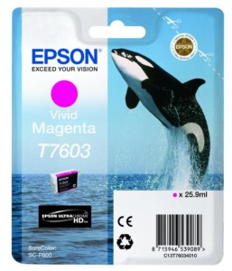 Tusz Epson T7603 Magenta SC-P600 